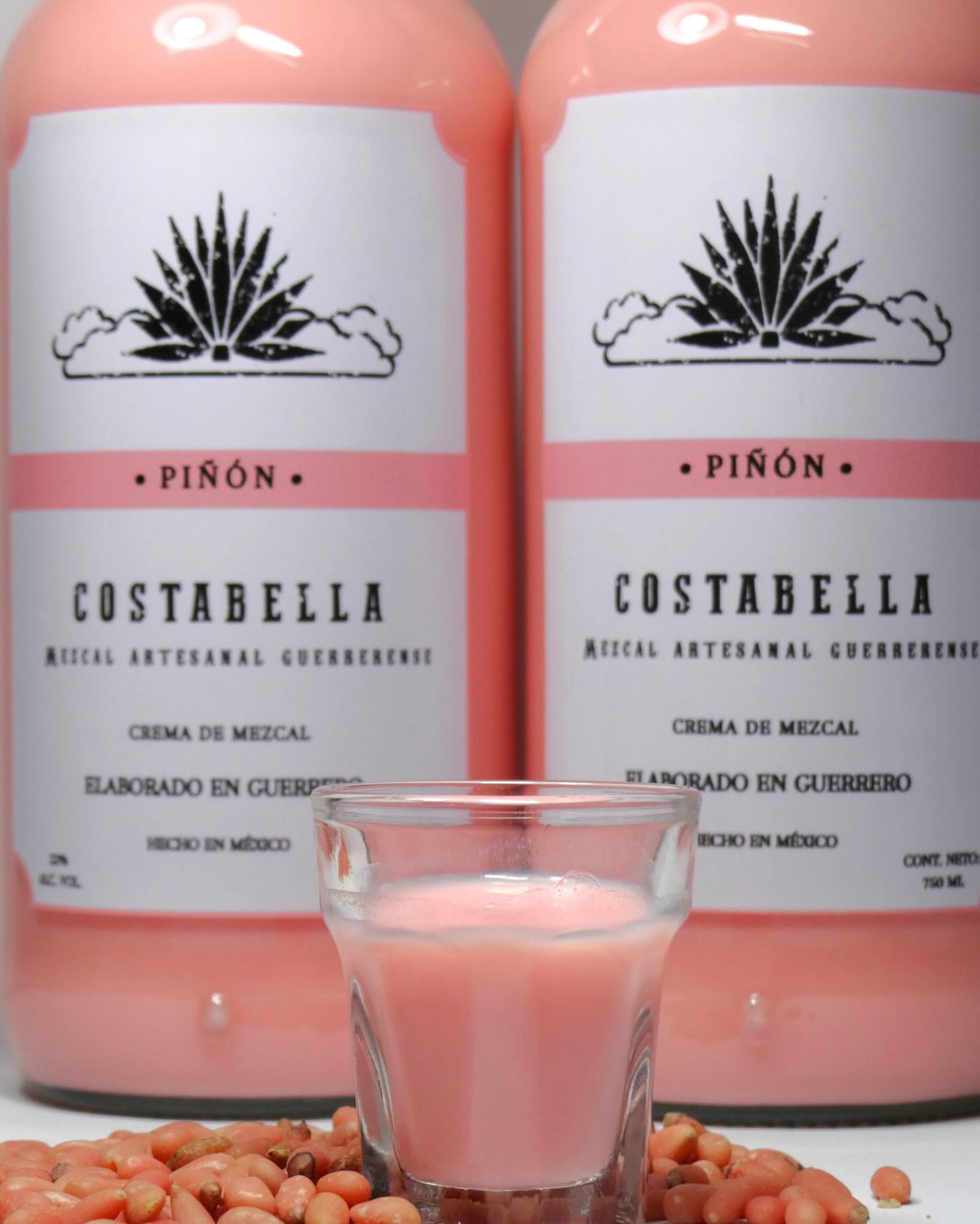 Piñón (imagen temporal)